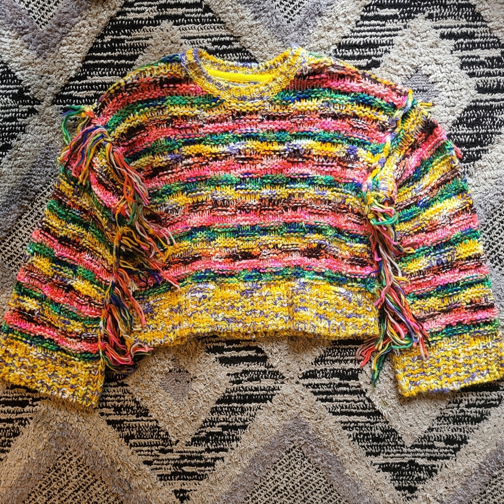 Medium Kimchi Blue Multicolored fringe sweater
